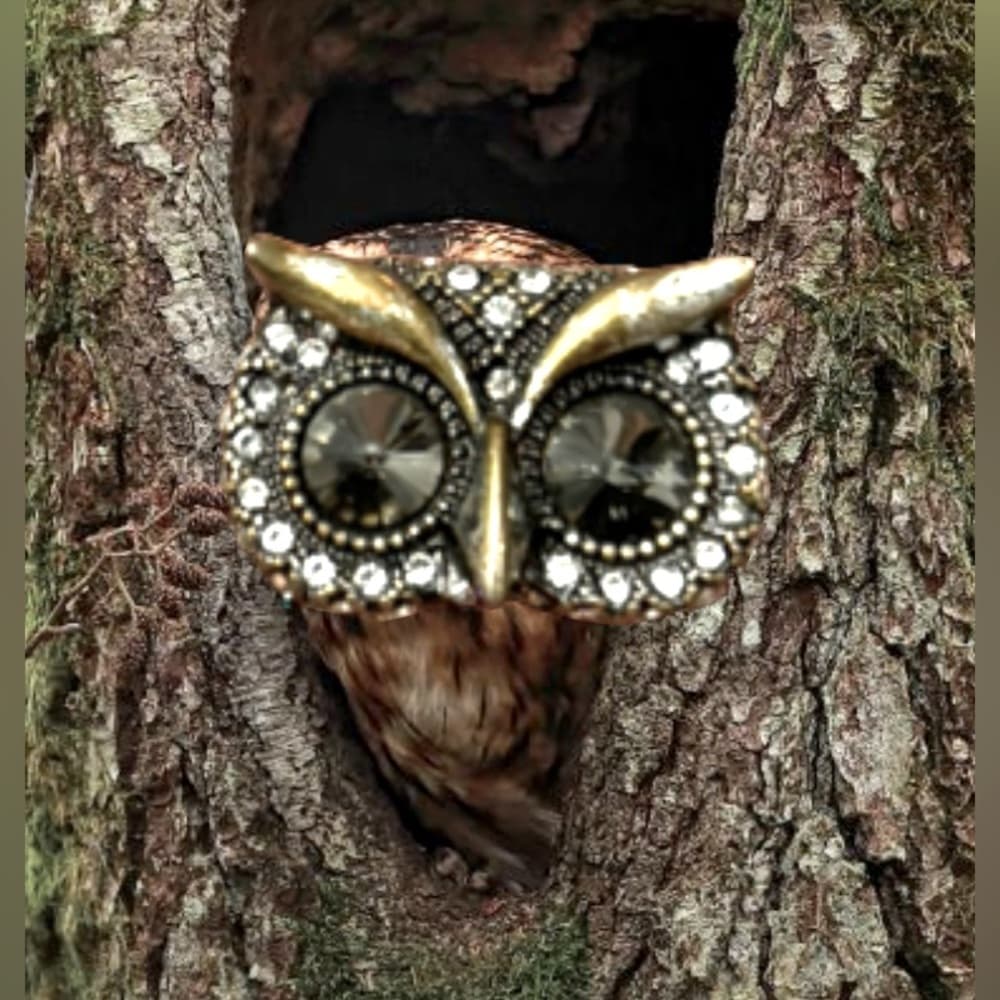 OWL RING